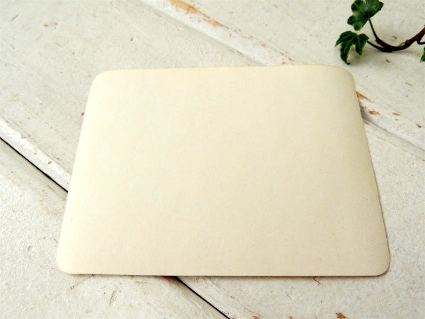 NASCAR 43 アメ車 US チェッカー ビンテージ ステッカー 1970 PLYMOUTH SUPERBIRD プリムス・スーパーバード