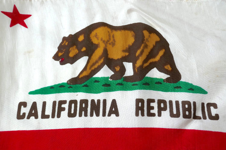 カリフォルニア州旗 グリズリー CALIFORNIA REPUBLIC クマ ヴィンテージ フラッグ USA