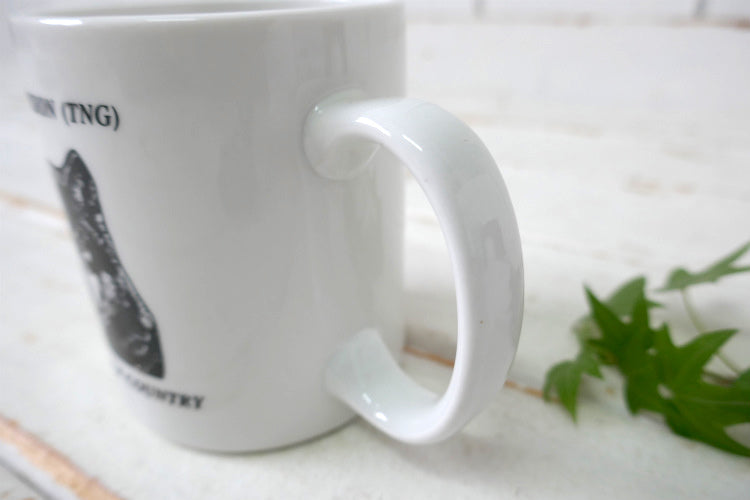 ミリタリー 米陸軍 104th DIVISION TNG ティンバーウルフ オオカミ柄 カリフォルニア州 オレゴン州 マグカップ コーヒーマグ 食器 USA