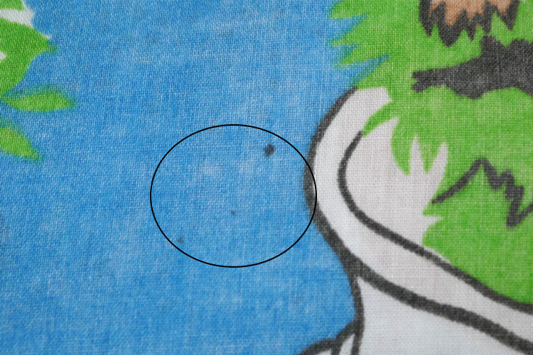 セサミストリートの仲間たち デイキャンプ ビッグバード クッキーモンスター 70's ヴィンテージ ユーズドシーツ(ボックスタイプ) USA