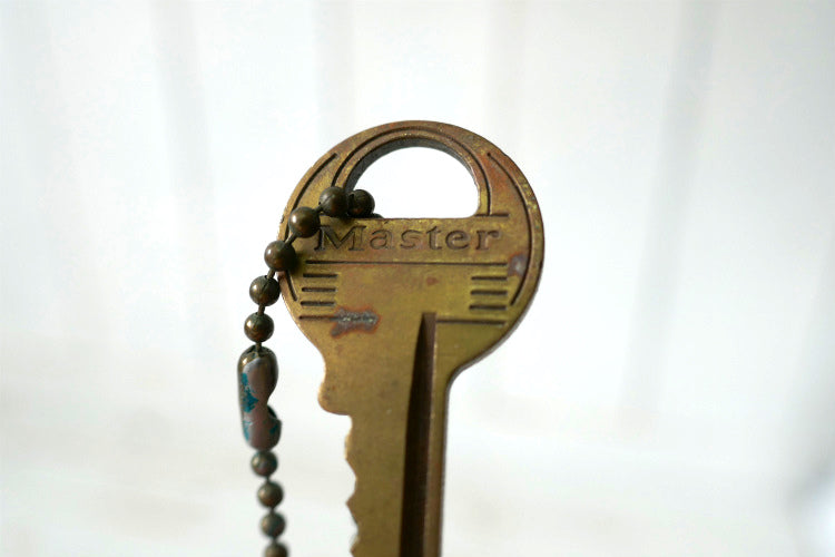 GM ゼネラルモーターズ 1966's イリノイ州 ナンバープレート型 ヴィンテージ キーホルダー 古鍵 2本付き アメ車 USA