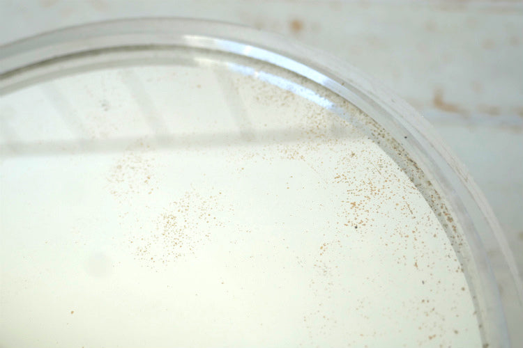 ミッドセンチュリー クリア 両面 50's ヴィンテージ ハンドミラー 手鏡 鏡 USA