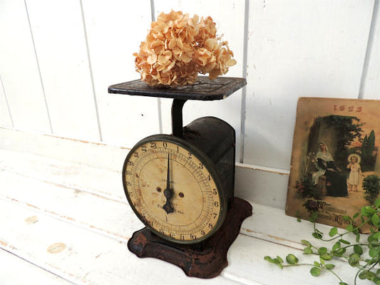 【TROJAN FAMILY SCALE】黒色・シャビーなアンティーク・スケール/量り/24lb