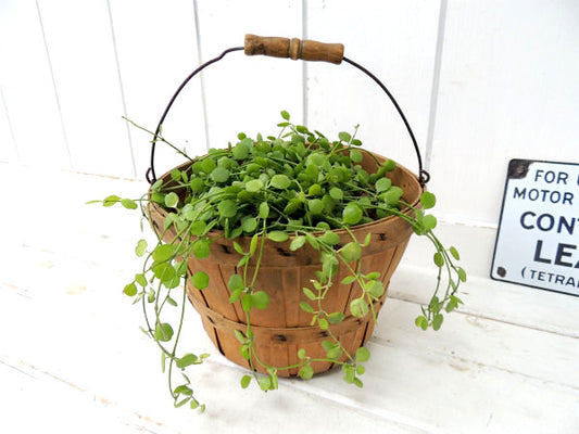 【シャビー】ハンドル付きの木製・ヴィンテージ・バスケット/ウッドバスケット・キャリーバスケット