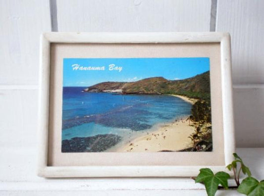 ハワイ ハナウマベイ・50’sヴィンテージ・ポストカード/写真はがき