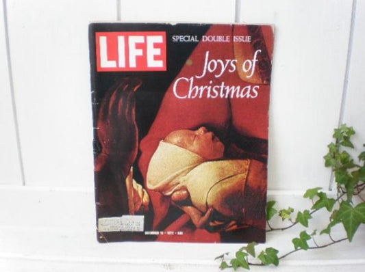 LIFE ライフ USA ヴィンテージ 雑誌 1972.12.15 アンディ・人形・おもちゃ・本