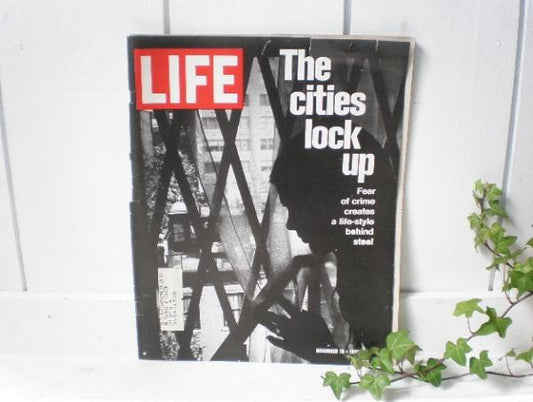LIFE ライフ USA ヴィンテージ 雑誌 1971/11/19 広告 アメリカ シボレー アメ車