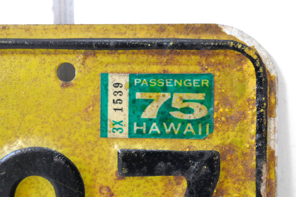 HAWAII ハワイ・アロハ・アメ車・イエロー・ビンテージ・ナンバープレート カーライセンス USA