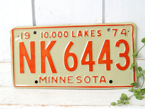 MINESOTA ミネソタ州 ヴィンテージ ナンバープレート カーライセンスプレート USA アメ車