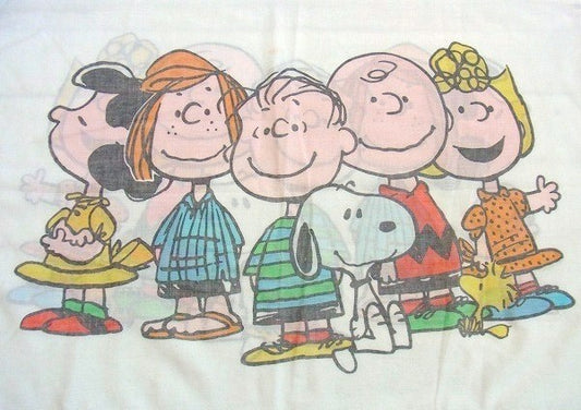 【スヌーピー】ピーナッツの仲間・ヴィンテージ・ユーズド・ピロケース/枕カバー USA