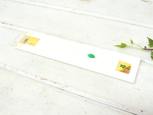 WOMEN 女性 USA・米国標識・デッドストック・ヴィンテージ・サインプレート・看板