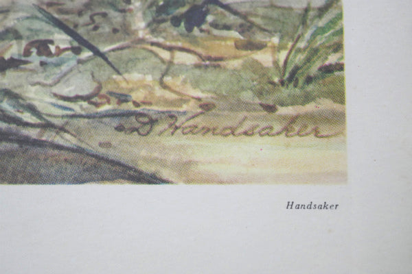 THE ANT HILL 1959年 リトグラフ ヴィンテージ アートワーク ポスター 壁飾り US