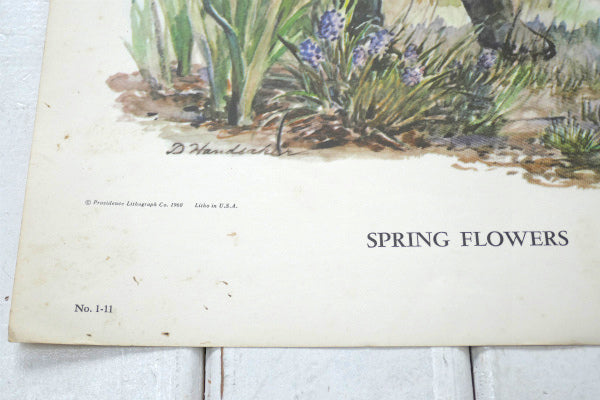 SPRING FLOWERS リトグラフ 60's ヴィンテージ アートワーク ポスター 壁飾り