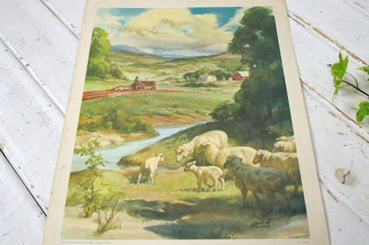 BEAUTIFUL WORLD 羊&草原 リトグラフ 60s ヴィンテージ アートワーク ポスター USA