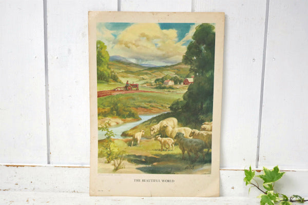 BEAUTIFUL WORLD 羊&草原 リトグラフ 60s ヴィンテージ アートワーク ポスター