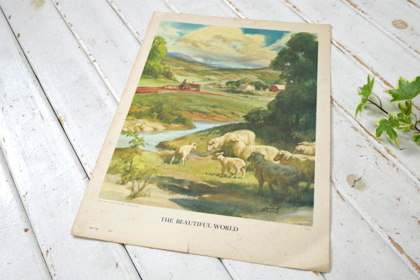 BEAUTIFUL WORLD 羊&草原 リトグラフ 60s ヴィンテージ アートワーク ポスター