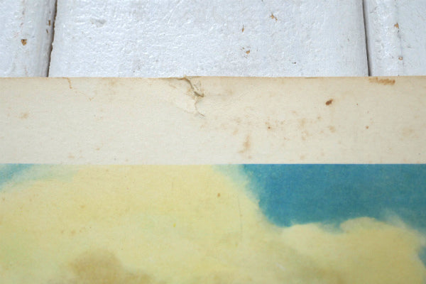 BEAUTIFUL WORLD 羊&草原 リトグラフ 60s ヴィンテージ アートワーク ポスター USA