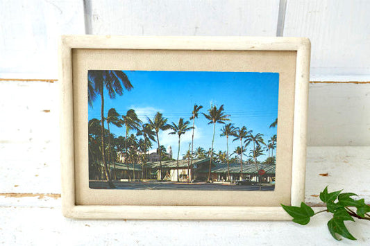 ホノルル 1950 ワイキキ McINERNY ヴィンテージ ポストカード US 絵葉書 写真