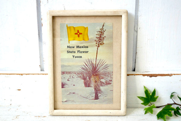 USA ニューメキシコ 州旗 Yucca ユッカ 花・ヴィンテージ・ポストカード ハガキ・絵葉