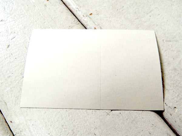 patagonia パタゴニア サンタクルーズ・カリフォルニア 限定・非売品・ステッカー・サーフィン