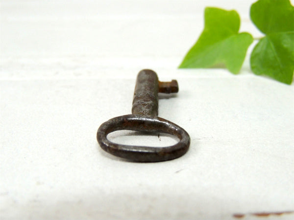 【ノスタルジックな雰囲気】ちいさな・アンティーク・アイアン製・キー・鍵・USA