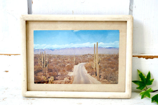 1933s アリゾナ・サワロ国立公園 ナショナルパーク・ドライブ・サボテン・ビンテージ ポストカード