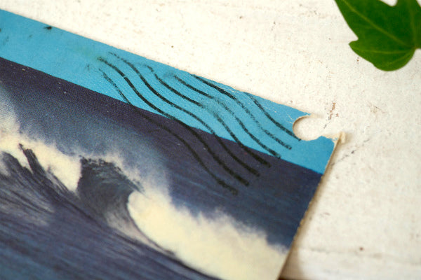 ハワイ サーフィン SURFING IN HAWAII ヴィンテージ・ポストカード エンタイア・切手