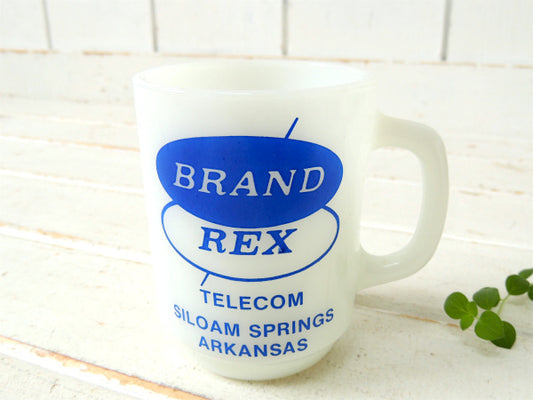 アーカンソー州 ホット・スプリングス BRAND REX ファイヤーキング ビンテージ マグカップ アドマグ 食器 USA