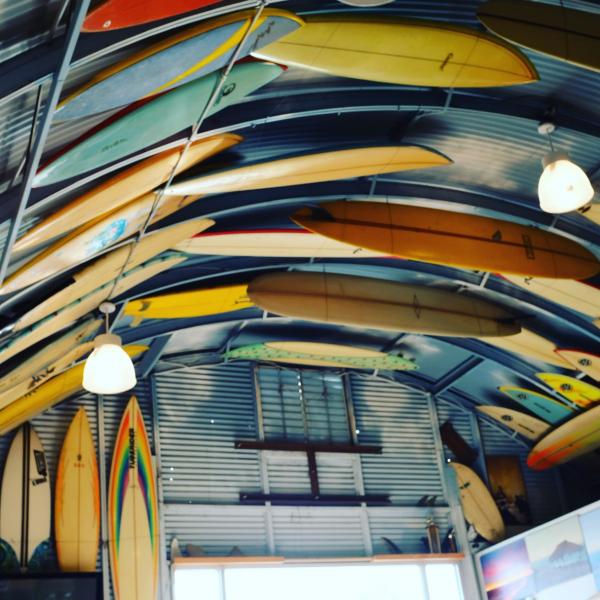 BIRD'S SURF ピンクベース・サーフショップ・カリフォルニア・サーフィン ステッカー