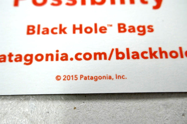 USA パタゴニア・ブラックホールバック・キャンペーン go・ステッカー 非売品・アメリカ版