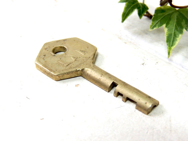 LAI インダストリアル 特殊デザイン ヴィンテージ キー KEY 鍵 USA