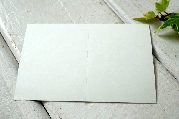 patagonia・パタゴニア イリノイ州 シカゴ 限定・非売品・ステッカー・アウトドア・キャンプ