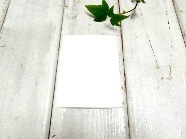 【DYER BRAND/ダイアーブランド】サーフボード・カリフォルニア限定・ステッカー・大