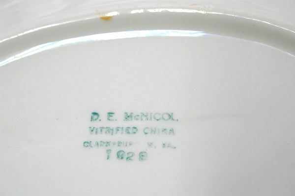 D E McNicol セラミック オーバル型 20's ヴィンテージ プレート お皿 食器 USA