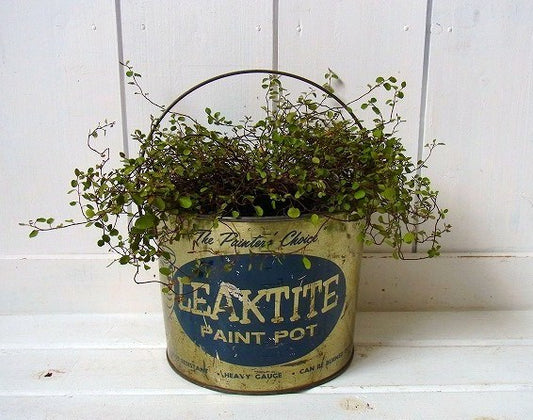 【LEAKTITE】ブリキ製・目盛り入り・ヴィンテージ・バケツ/ペンキ容器 USA