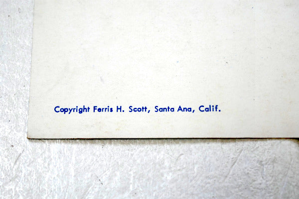 US デザートホットスプリングス カリフォルニア 美女 ビキニガール 写真 ビンテージ ポストカード