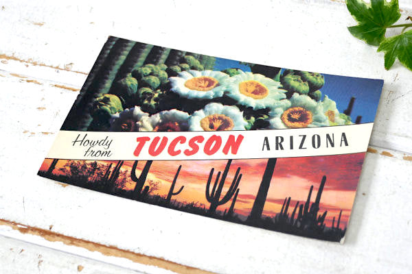 アリゾナ ツーソン・サボテン&サンセット・ヴィンテージ・ポストカード 絵葉書・印刷物 USA
