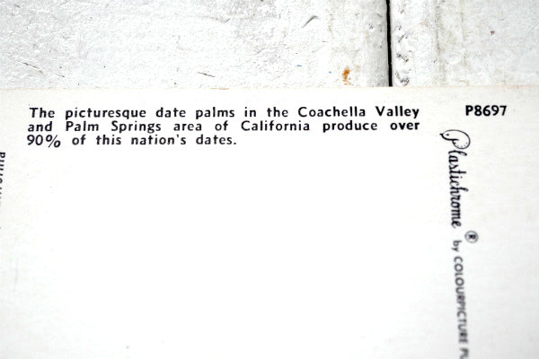 カリフォルニア コーチェラ・ヴァレー パームスプリングス 風景写真・ヴィンテージ・ポストカード US