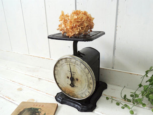 【COLUMBIA FAMILY SCALE】黒色・シャビーシック・アンティーク・スケール・量り