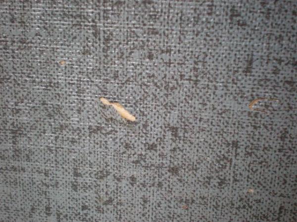 ヴィンテージ コスメボックス/メイクボックス USA