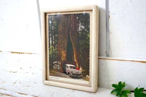 アメ車 1950~1960s クラシックカー・カリフォルニア・ビンテージ・ポストカード・絵葉書 US