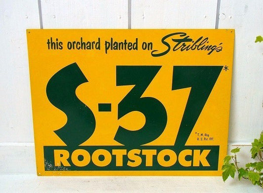 【ROOTSTOCK】スチール製・ヴィンテージ・サイン/看板 USA