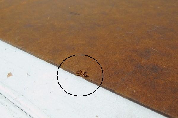 【Buill】USA!2連タイプの大きなヴィンテージ・クリップボード/バインダー