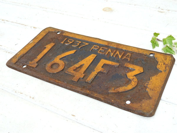 ペンシルベニア州・1937年・ナンバープレート・164F3・ビンテージ・ライセンス/モーター系