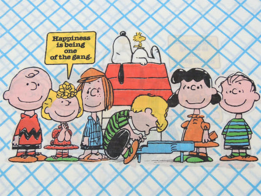 【スヌーピー】ピーナッツの仲間・70'sヴィンテージ・ピロケース/枕カバー USA