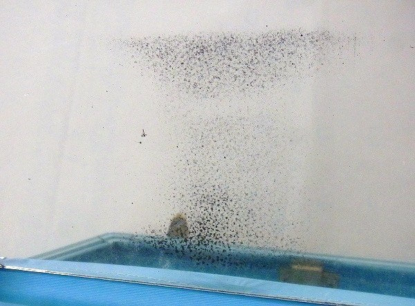 【Samsonite】サムソナイト・ターコイズブルー色・ヴィンテージ・メイクボックス/コスメボックス