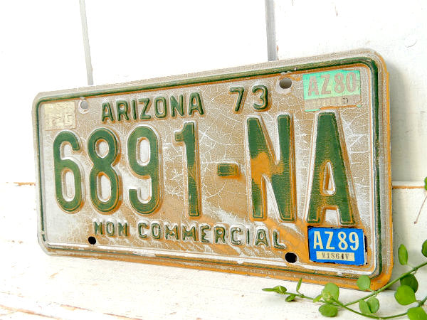 NON COMMRCIAL 1973~アリゾナ州・ビンテージ・ナンバープレート・カーライセンス