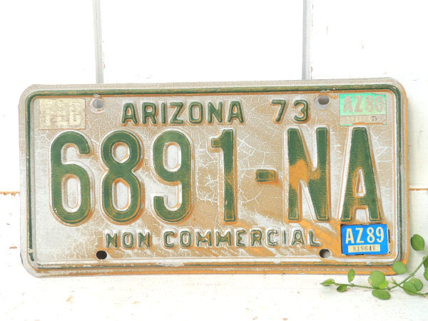 NON COMMRCIAL 1973~アリゾナ州・ビンテージ・ナンバープレート・カーライセンス