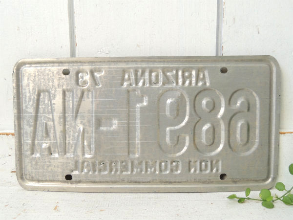 NON COMMRCIAL 1973~アリゾナ州・ビンテージ・ナンバープレート・カーライセンス