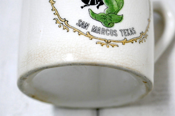 AQUARENA テキサス 陶器製 ヴィンテージ マグカップ チャイルドマグ 食器 USA